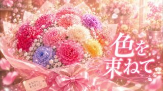 カーネーション－色を束ねて のYouTubeサムネイル